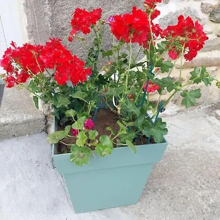 Holiday home Kerlosvezan, A La Campagne, Proche Lampaul-Ploudalmezeau